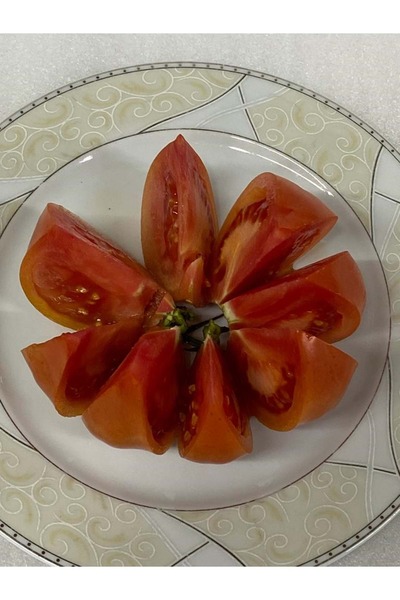 Harbiye Yöresel Hatay Samadağ Organik Domates(2 KG)