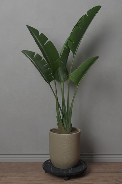 moka park avm Black Berak Flower Pot - Dispenser and Base
