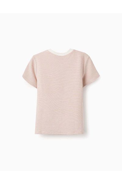 Ziddy Striped T-shirt with Print for Boys, White/Brown