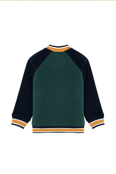 U.S. Polo Assn. Boy's Dark Green Sweatshirt 50290638 -Vr079