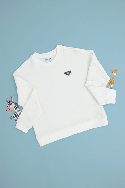 U.S. Polo Assn. Boy's Cream Crew Neck Sweatshirt 50290776 -Vr071