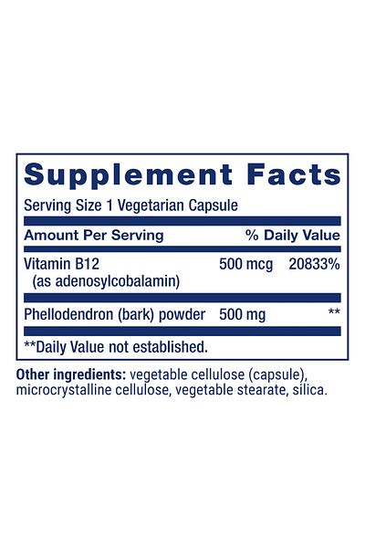 Life Extension Dopamine Advantage, Cognitive Boost, B12 & Phellodendron, Gluten-Free, Non-GMO, 30 Veg Capsules