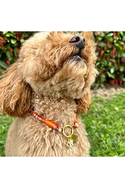JesPawty Jesspecial Turuncu Ip Halat Kedi Köpek Kolyesi Charm Uçlu