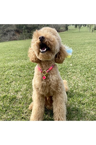 JesPawty Pembe Ip Halat Kedi Köpek Kolyesi Charm Uçlu