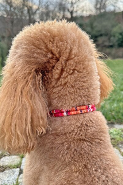 JesPawty Jesspecial Kırmızı İp Halat Kedi Köpek Kolyesi Charm Uçlu Gümüş Rengi