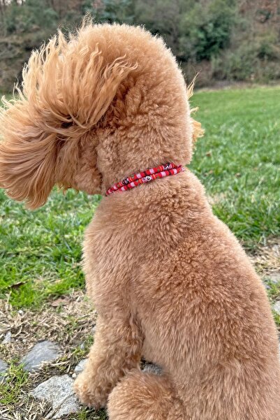 JesPawty Kırmızı İp Halat Kedi Köpek Kolyesi Charm Uçlu Gümüş Rengi