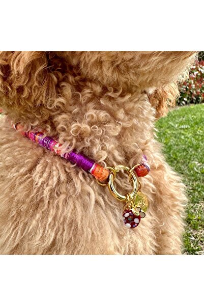 JesPawty Jesspecial Mor Ip Halat Kedi Köpek Kolyesi Charm Uçlu