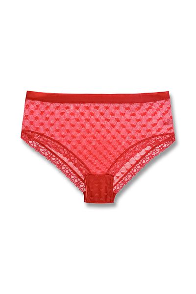 HNX Lace High Waist Women's Panties