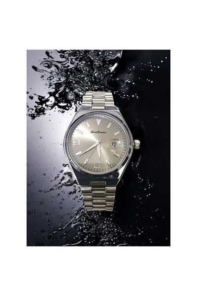 Seazone Men's Stainless Steel Analog Quartz Date Display Watch Easy to Read Fashion Design Waterproof Luxury
