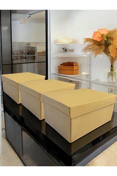 Balkan Room 3 Pcs Clamshell Cabinet Organizer Box Multipurpose Storage Box Xlarge 40X30X20 cm