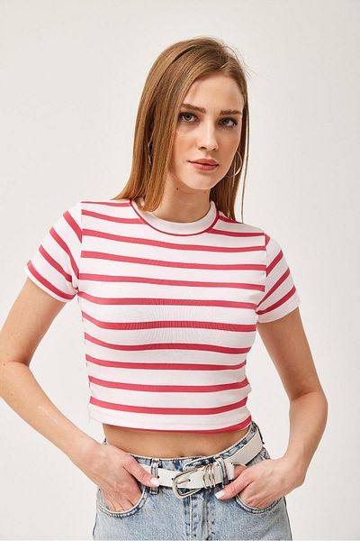 CALİENTE Striped Crew Neck Crop Blouse Pink