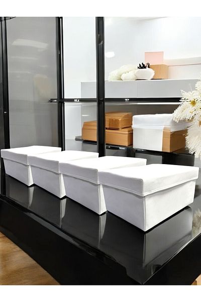 Balkan Room 4 قطع صندوق منظم للخزانة مع غطاء صندوق تخزين متعدد الأغراض مقاس XLarge 40x30x20 سم
