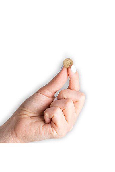 Mason Natural Digestive Enzymes with Prebiotics & Probiotics, Supports Digestive Health & Gut Balance, 90 Tablets