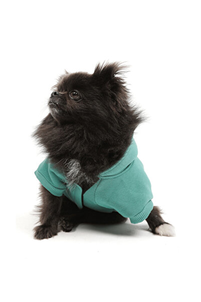JesPawty Yeşil Kapüşonlu Köpek Kıyafeti