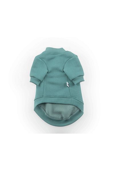 JesPawty Green Sweatshirt Dog Outfit