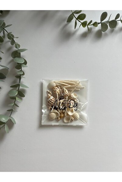 Lotusorium İnci Tozu Mum (150GR) ve Dekoratif Deniz Kabukları (20 tane 4cm Fitil)
