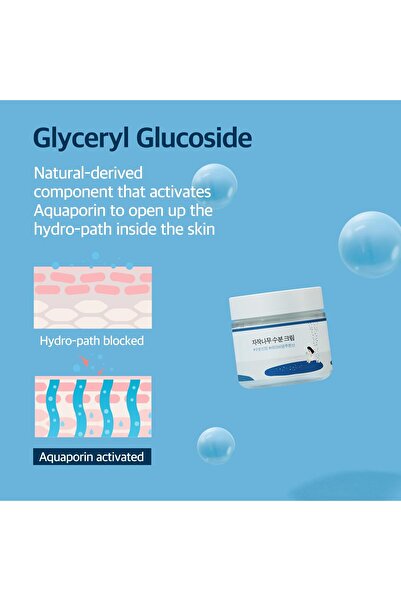 Round Lab Birch Juice Moisturizing Cream 2.7 Fl Oz, 48-Hour Hydration with Birch Sap & Hyaluronic Acid