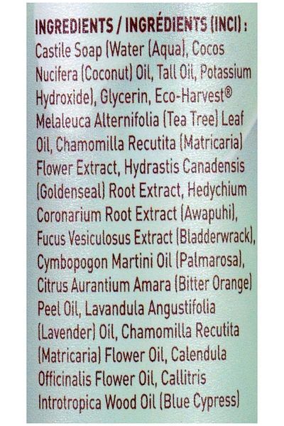 Desert Essence Thoroughly Clean Face Wash, 8.5 Fl Oz Bottle