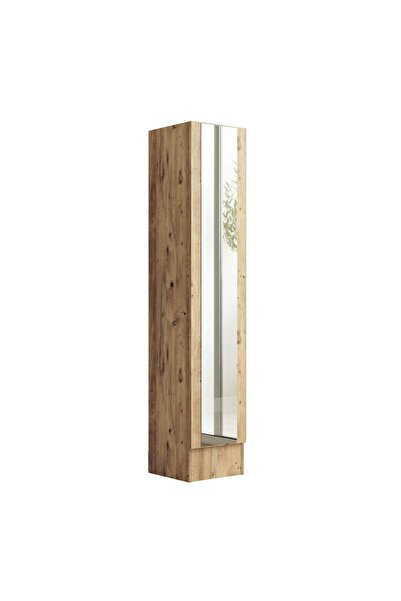 Home Canvas Iron Mirrored Shoe Cabinet Pine finish