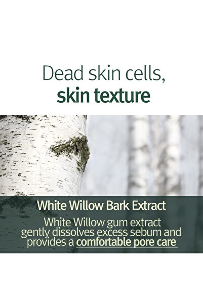 Pyunkang Yul Calming Pore Clear Wash Off Mask 100 ml