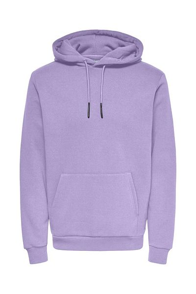 Only & Sons Kapuzenpullover ONSCERES Sweatshirt