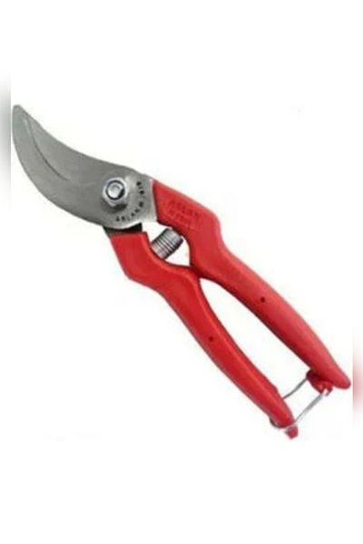SNR Pruning Shears