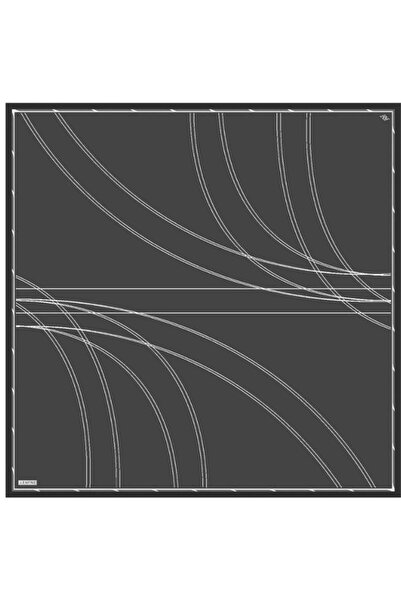 Armine E24ka9251d0157 وشاح حرير نقي Dj 9251d (T)