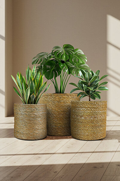 Bliss 3'lü Dekoratif Hasır İçi Jelatinli Saksı Büyük Boy Set Çok Amaçlı Hasır Sepet, Ev Bahçe Düzenleyici