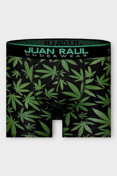 Juan Raul Green Leaf Patterned Men's Boxers - Db223