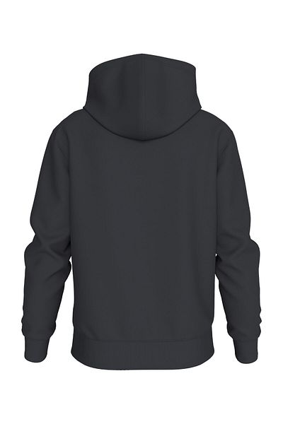 Calvin Klein SEASONAL MONOLOG REGULAR HOODIE