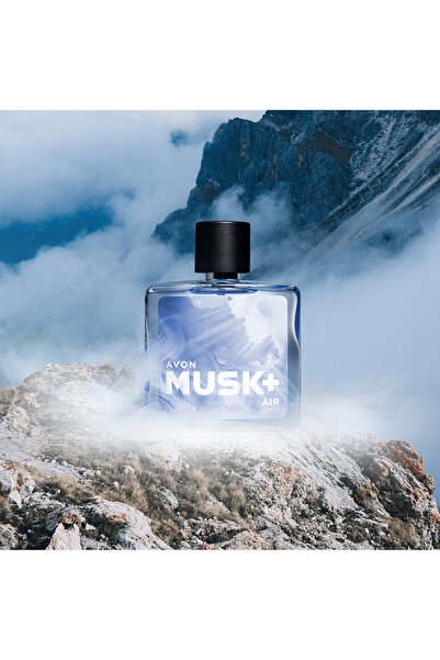 AVON Musk Air Eau de Toilette for Him, 75 Ml