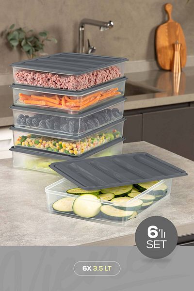 Vienev 6-Piece 3.5 Liter Refrigerator, Freezer & Microwave Organizer, Gray and Diffracted Storage Eagles