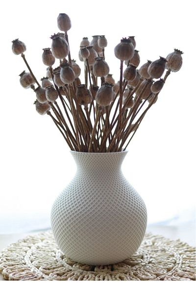 3D Brothers Distinctive Design Decorative Vase
