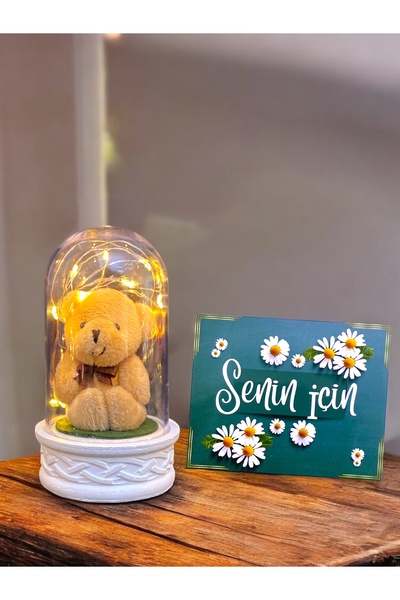hediye arıları Led Işıklı Peluş Ayıcıklı Fanus | Sevgiliye Hediye | Doğum Gün...