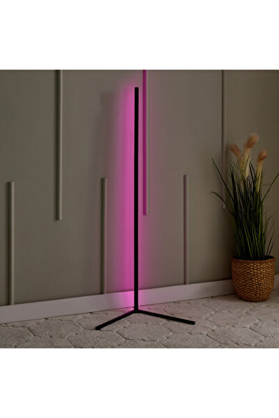 erorex Lita Aluminium LED Ambient Floor Lamp with Remote Controlled Music Sync - 42x42x140 cm