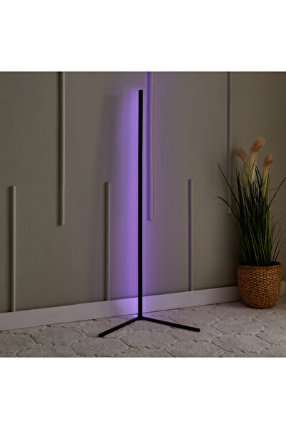 erorex Lita Aluminium LED Ambient Floor Lamp with Remote Controlled Music Sync - 42x42x140 cm