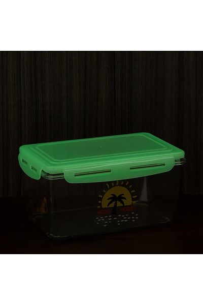 erorex Gleam Lock and Strong Food Storage Container - 1.7 L
