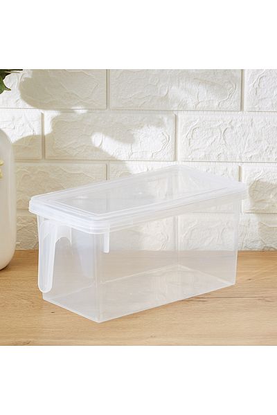 erorex Vega Storage Organiser with Handle - 29.5x15.5x14 cm