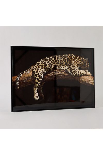 erorex Ersel Leopard Framed Picture - 50x70x2.5 cm