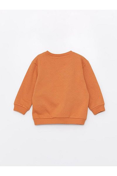 LC Waikiki Baby Boy - Crew Neck and Printed Long Sleeve Sweatshirt