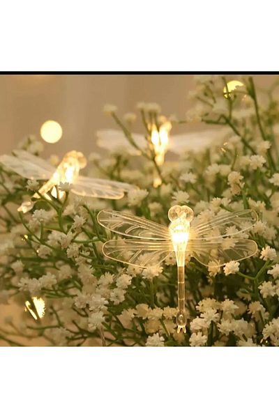 Zigver Χριστουγεννιάτικα Φωτάκια Led Fairy Lights String Light Πρωτοχρονιάτικο Φωτιστικό Στολίδι Δώρο
