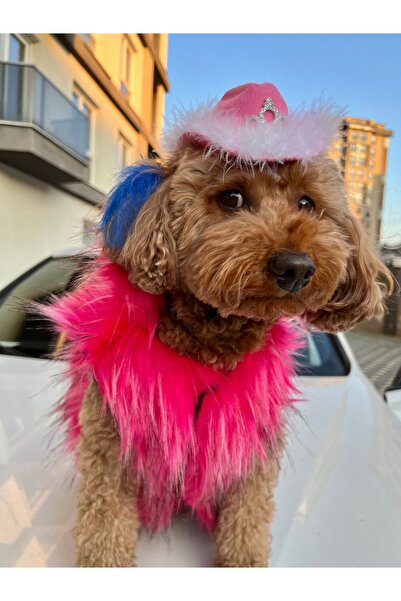 Butik Köpek kıyafet kürk