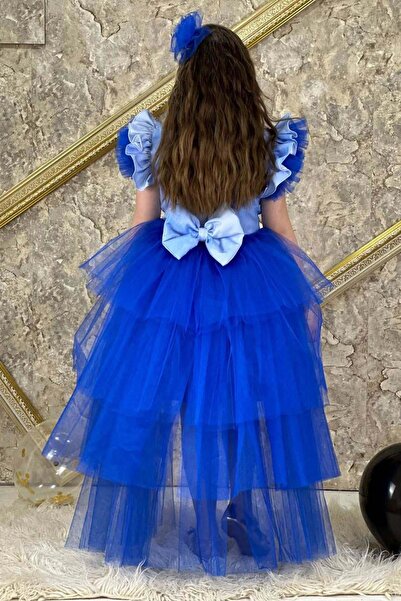 Riccotarz Сукня для дівчинки Frozen Queen з цифровим принтом темно-синя з багатошаровим тюлем