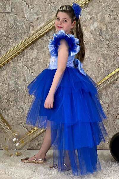 Riccotarz Сукня для дівчинки Frozen Queen з цифровим принтом темно-синя з багатошаровим тюлем