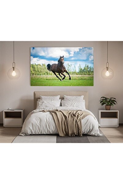 KanvasSepeti At Resimli Kanvas Tablo