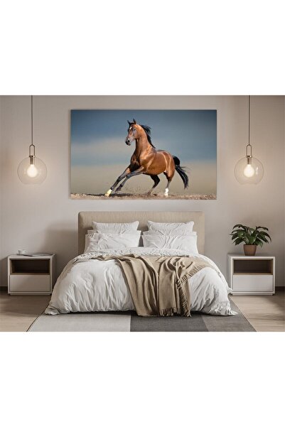 KanvasSepeti At Resimli Ev, Oturma Odası, Yatak Odası Dekorasyonu Kanvas Tablo