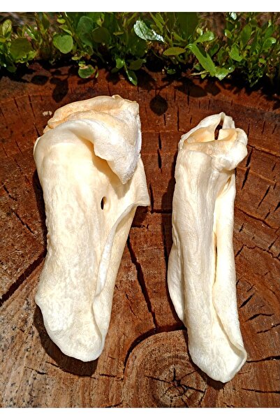 Prochef 250 Gr Kurutulmuş Dana Kulak ( Köpek Kemiği & Ödül Maması )