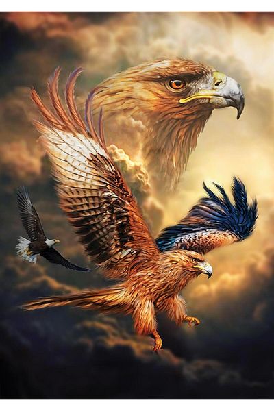 Art Puzzle Eagle Sky 1000 Piece Puzzle