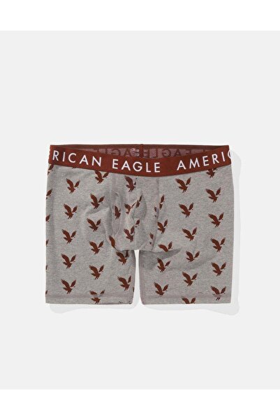 AMERICAN EAGLE AEO Eagle 6" Classic Boxer Brief