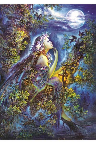Art Puzzle 1000 Piece Puzzle in My Dreams